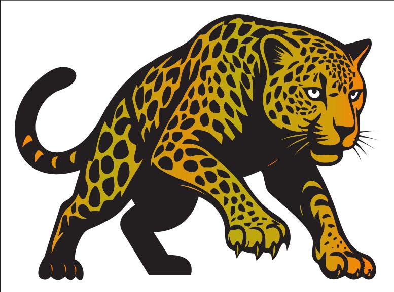 Jaguar Fashion